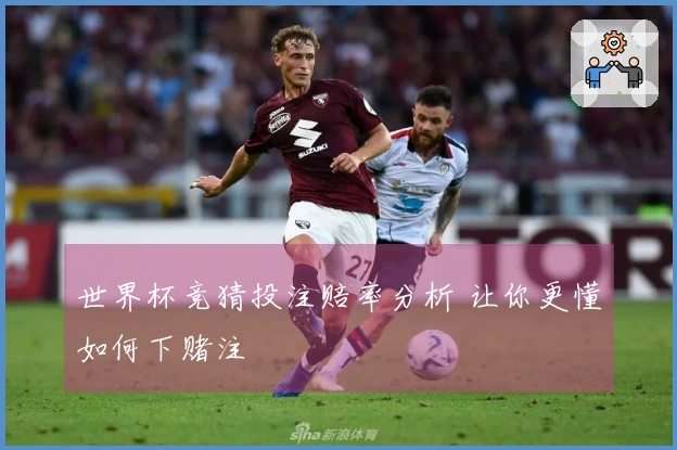 世界杯竞猜投注赔率分析 让你更懂如何下赌注