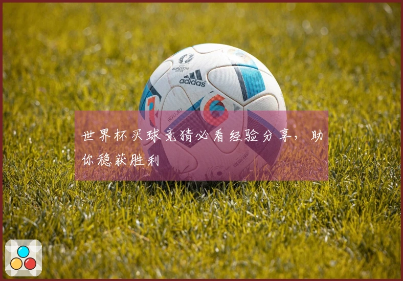 世界杯买球竞猜必看经验分享，助你稳获胜利