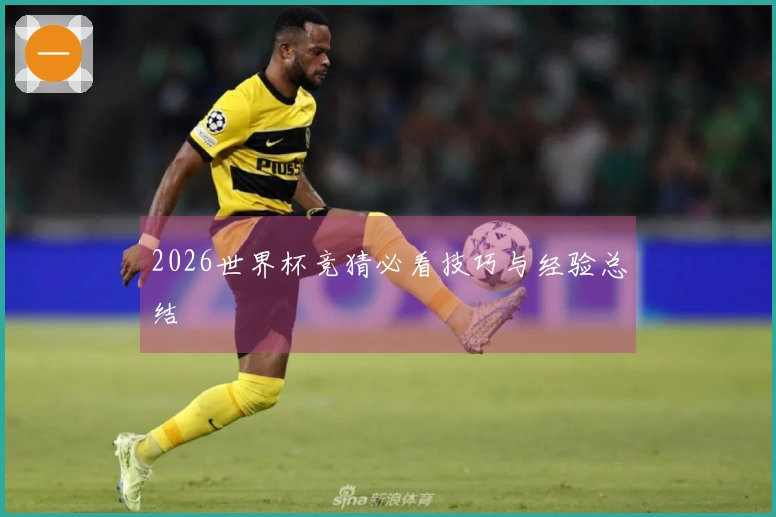 2026世界杯竞猜必看技巧与经验总结