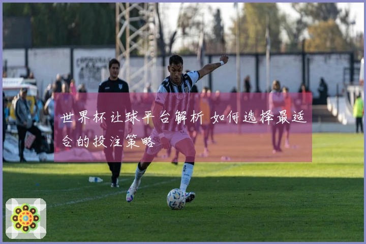 世界杯让球平台解析 如何选择最适合的投注策略