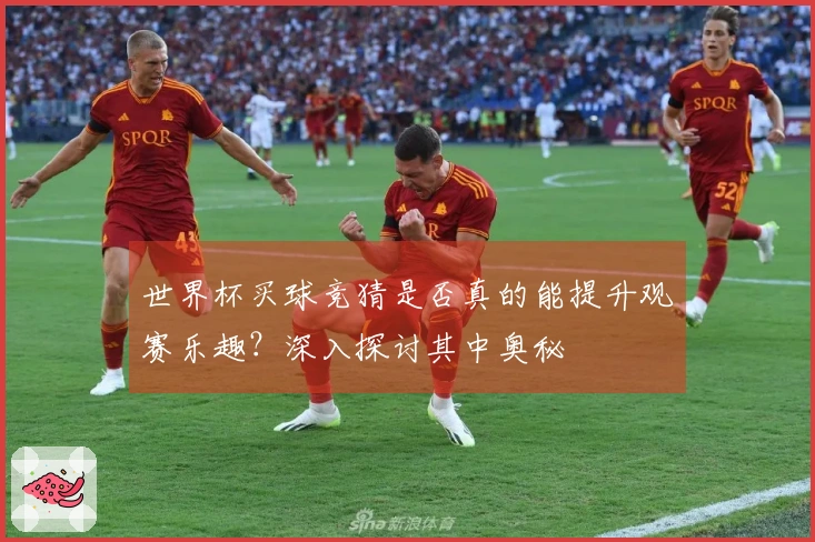 世界杯买球竞猜是否真的能提升观赛乐趣？深入探讨其中奥秘