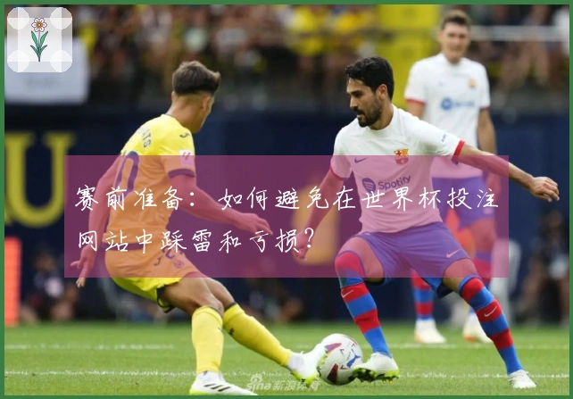 赛前准备：如何避免在世界杯投注网站中踩雷和亏损？