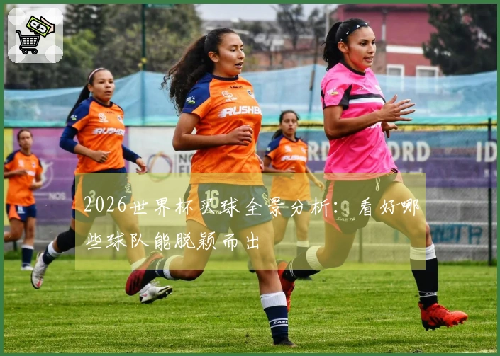 2026世界杯买球全景分析：看好哪些球队能脱颖而出