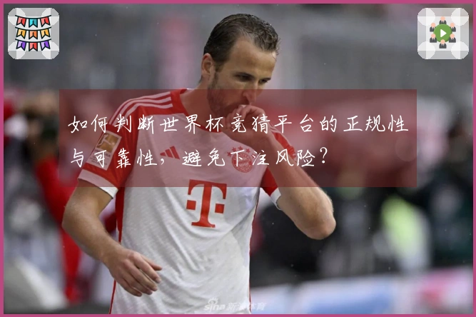 如何判断世界杯竞猜平台的正规性与可靠性，避免下注风险？