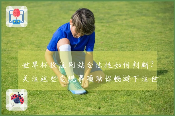 世界杯投注网站合法性如何判断？关注这些合规事项助你畅游下注世界