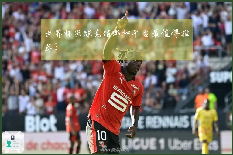 世界杯买球竞猜哪种平台最值得推荐？