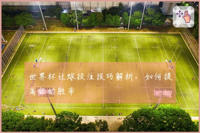 世界杯让球投注技巧解析，如何提高你的胜率