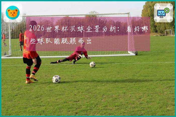 2026世界杯买球全景分析：看好哪些球队能脱颖而出