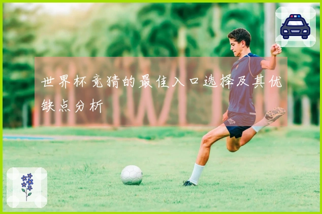 世界杯竞猜的最佳入口选择及其优缺点分析