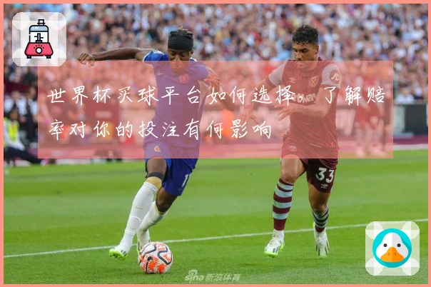 世界杯买球平台如何选择，了解赔率对你的投注有何影响