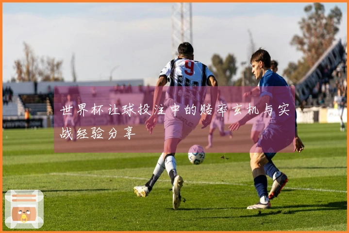 世界杯让球投注中的赔率玄机与实战经验分享