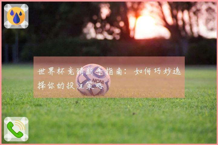 世界杯竞猜新手指南：如何巧妙选择你的投注策略