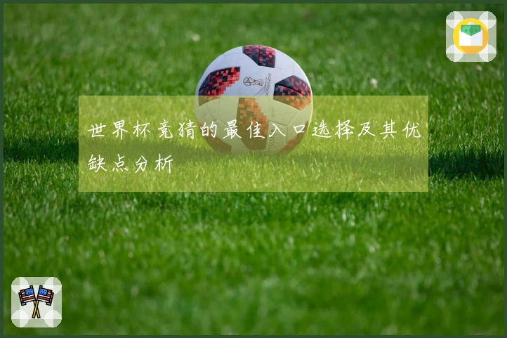 世界杯竞猜的最佳入口选择及其优缺点分析