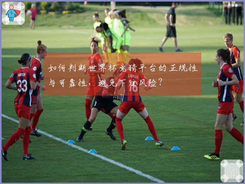 如何判断世界杯竞猜平台的正规性与可靠性，避免下注风险？