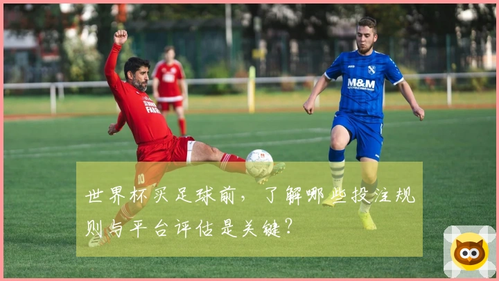 世界杯买足球前，了解哪些投注规则与平台评估是关键？