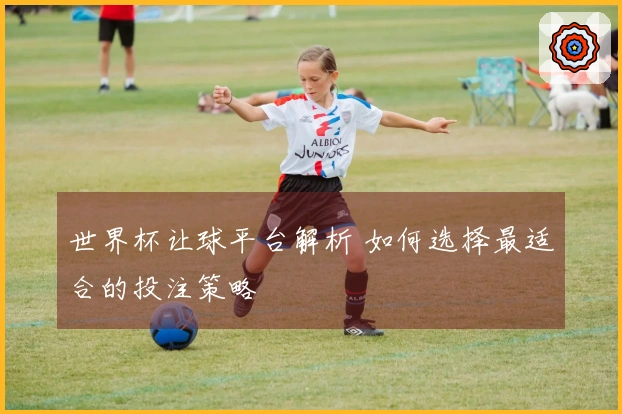 世界杯让球平台解析 如何选择最适合的投注策略