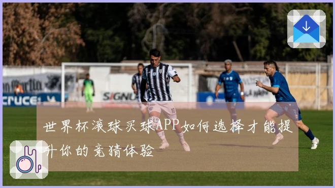 世界杯滚球买球APP如何选择才能提升你的竞猜体验