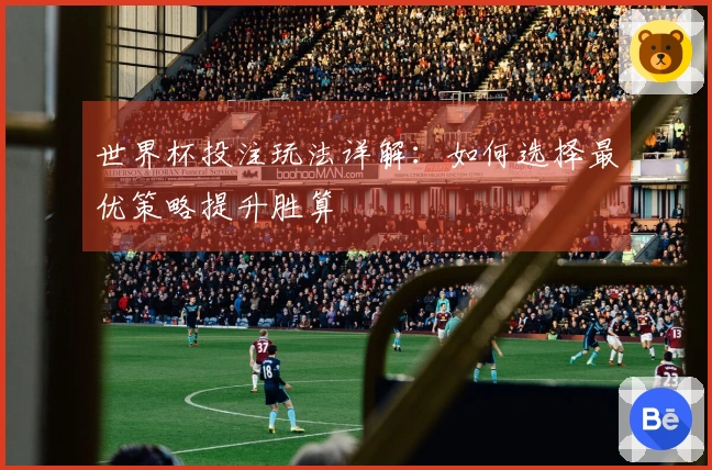 世界杯投注玩法详解：如何选择最优策略提升胜算
