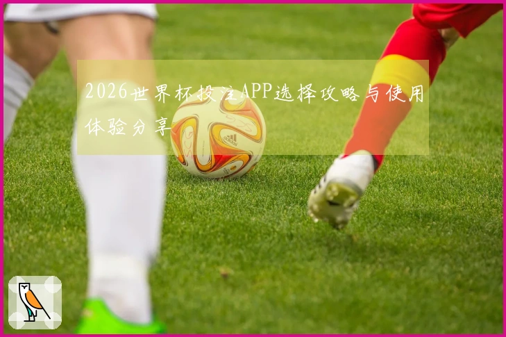 2026世界杯投注APP选择攻略与使用体验分享