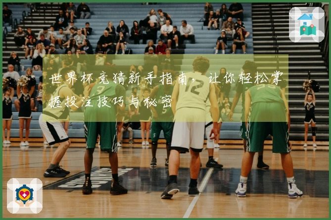 世界杯竞猜新手指南，让你轻松掌握投注技巧与秘密