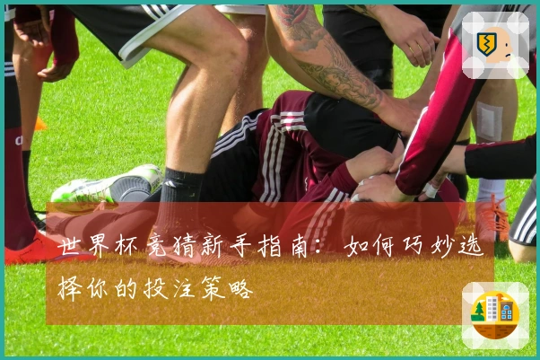世界杯竞猜新手指南：如何巧妙选择你的投注策略